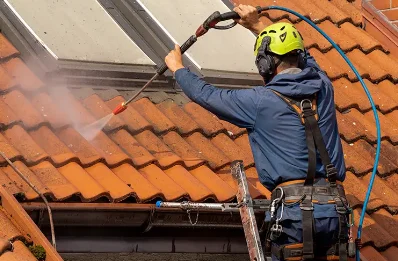 Démoussage et hydrofuge de toiture à Luriecq